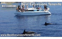 Catamaran Bonadea II (3 Hours)